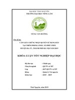 Khóa luận tốt nghiệp: Cấp giấy chứng nhận quyền sử dụng đất ở tại thôn Phong Châu, Xã Phú Châu Huyện Ba Vì, Thành Phố Hà Nội