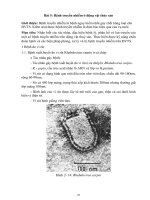 Giáo trình mô đun: Phòng và trị bệnh động vật thúy sản (Ngành/nghề: nuôi trồng thủy sản nước ngọt) – Phần 2