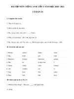 Bài tập môn Tiếng Anh lớp 3 năm 2020-2021 có đáp án