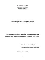 Tình hình ruộng đất và đời sống nông dân việt nam qua hai cuộc khai thác thuộc địa của thực dân pháp 