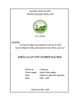 Khóa luận tốt nghiệp: Đánh giá hiệu quả kinh tế sản xuất cây ngô tại địa bàn xã Trịnh Tường, huyện Bát Xát, tỉnh Lào Cai