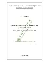 Nghiên cứu nhân giống cây lan trầm tím (dendrobium nestor) bằng phương pháp nuôi cấy in vitro 
