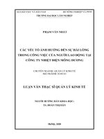 Các yếu tố ảnh hưởng đến sự hài lòng trong công việc của người lao động tại công ty nhiệt điện mông dương 