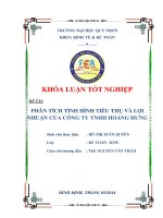 KHÓA LUẬN TỐT NGHIỆP ĐỀ TÀI: PHÂN TÍCH TÌNH HÌNH TIÊU THỤ VÀ LỢI NHUẬN CỦA CÔNG TY TNHH HOÀNG HƢNG