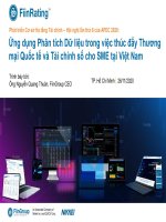 Ứng dụng Phân tích Dữ liệu trong việc thúc đẩy Thươngmại Quốc tế và Tài chính số cho SME tại Việt Nam