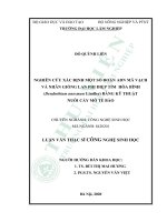 Nghiên cứu xác định một số đoạn ADN mã vạch và nhân giống lan phi điệp tím hòa bình (dendrobium anosmun lindley) bằng kỹ thuật nuôi cấy mô tế bào 