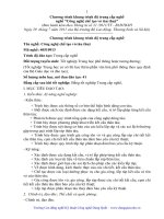 Chương trình khung trình độ trung cấp nghề nghề Công nghệ chế tạo vỏ tàu thuỷ - Trường CĐN GTVT Đường Thuỷ 1