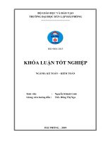 (Khóa luận tốt nghiệp) Hoàn thiện công tác kế toán doanh thu, chi phí và xác định kết quả kinh doanh tại Công ty TNHH Thương Mại CTNEX