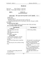 GAL5Tuan 11 nam 2010