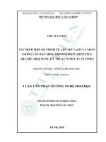 Xác định một số trình tự ADN mã vạch và nhân giống cây râu mèo (orthosiphon aristatus (blume) MIQ) bằng kỹ thuật nuôi cấy in vitro 