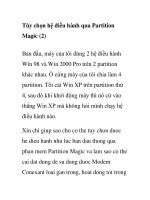 Tùy chọn hệ điều hành qua Partition Magic (2)