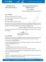 Đề thi HSG môn Ngữ văn lớp 10 năm 2019, Trường THPT Ngô Gia Tự