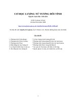 co hoc luong tu tuong doi tinh (1)