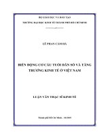 Luận văn thạc sĩ kinh tế phát triển (FULL) biến động cơ cấu tuổi dân số và tăng trưởng kinh tế ở việt nam 