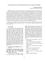 Các hoạt động của CDIT trong mảng quản lý mạng viễn thông