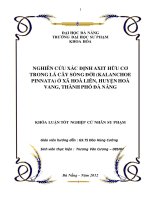 Nghiên cứu xác định axit hữu cơ trong lá cây sống đời (kalanchoe pinnata) ở xã hoà liên, huyện hoà vang, thành phố đà nẵng  