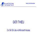 Bài giảng Giới thiệu cơ sở dữ liệu và Microsoft Access - ĐH Mở TP.Hồ Chí Minh