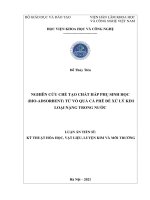 Nghiên cứu chế tạo chất hấp phụ sinh học (bio adsorbent) từ vỏ quả cà phê để xử lý kim loại nặng trong nước (Luận án tiến sĩ)