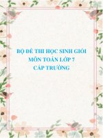 Bộ đề thi học sinh giỏi môn Toán lớp 7 cấp trường