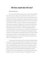 Mã hóa email như thế nào?