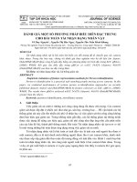 Đánh giá một số phương pháp biểu diễn đặc trưng cho bài toán tái nhận dạng nhân vật