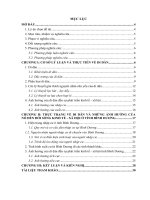 Tiểu luận Dân số học xã hội: Di dân ảnh hưởng đến kinh tế  xã hội của người dân ở tỉnh Bình Dương