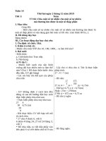 Giáo án lớp 5: Tuần 14 năm học 2019-2020