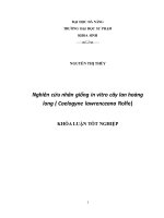 Nghiên cứu nhân giống in vitro cây lan hoàng long ( coelogyne lawrenceana rolfe)  
