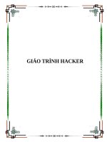 Giáo trình Hacker: Những hiểu biết để trở thành hacker