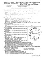 Đề kiểm tra 1 tiết học kì 2 môn Sinh học 11 năm 2019-2020 – Trường THPT Phan Bội Châu