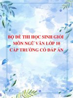 Bộ 8 đề thi học sinh giỏi môn Ngữ văn lớp 10 cấp trường năm 2020-2021 có đáp án