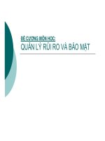 Đề cương môn học: Quản lý rủi ro và bảo mật