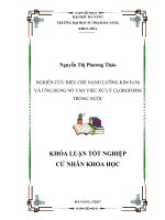 Nghiên cứu điều chế vật liệu nano lưỡng kim feni và ứng dụng nó vào việc xử lý cloroform trong nước  