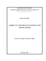 Luận văn Thạc sĩ Tâm lý học: Nghiên cứu tính đố kỵ ở người đầu tuổi trưởng thành
