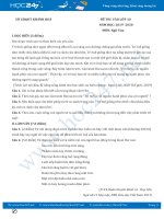 Đề thi thử vào lớp 10 năm học 2019 - 2020 môn Ngữ Văn - Sở GD&ĐT Khánh Hoà