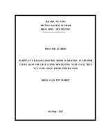 Nghiên cứu đa dạng sinh học nhóm cladocera và mô hình tương quan với chất lượng môi trường nước ở các thủy vực nước ngọt, thành phố đà nẵng  