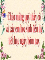 chinh ta canh cam lac me