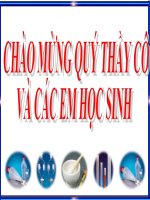 Hoa Dieu che khi oxiphan ung phan huy