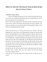 Nghiên cứu chiến lược marketing cho dòng sản phẩm bột giặt omo của công ty unilever 