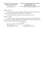 Đề thi học sinh giỏi môn Ngữ văn lớp 10 cấp trường năm 2020-2021 có đáp án - Trường THPT Lưu Hoàng, Hà Nội