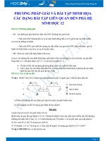 Phương pháp giải và bài tập minh họa các dạng bài tập liên quan đến Phả hệ Sinh học 12