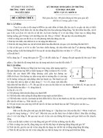 Đề thi học sinh giỏi môn Vật lí lớp 12 cấp trường năm 2019-2020 có đáp án - Trường THPT Chuyên Nguyễn Trãi, Hải Dương