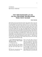 Phát triển nguồn nhân lực cho các khu công nghiệp tỉnh Bình Dương trong thời kỳ hội nhập