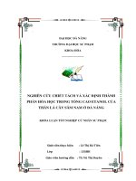 Nghiên cứu chiết tách và xác định thành phần hóa học trong tổng cao etanol của thân lá cây sâm nam ở đà nẵng  