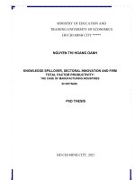 Lan tỏa tri thức, cải tiến đổi mới cấp ngành và năng suất nhân tố tổng hợp (TFP) của doanh nghiệp trường hợp nghiên cứu ở ngành công nghiệp chế tạo ở việt nam 