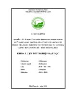 Nghiên cứu ảnh hưởng một số loại dung dịch dinh dưỡng đến sinh trưởng, phát triển của dưa lưới trong nhà màng tại công ty cổ phần đầu tư nam hòa xanh 