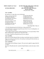 Đề thi học sinh giỏi môn Ngữ văn lớp 7 cấp huyện năm 2020-2021 có đáp án - Phòng GD&ĐT Lục Ngạn