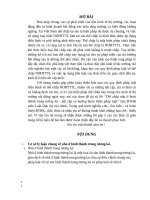 BTHK Luật Dân sự 2