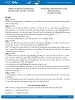 Đề thi và đáp án kỳ thi HSG môn Hóa học 9 năm 2019-2020 Trường THPT Nguyễn Văn Trỗi