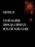 Bài giảng Chủ nghĩa xã hội khoa học: Chương 11